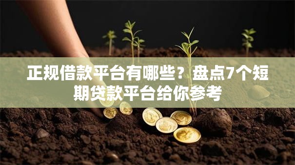 正规借款平台有哪些?盘点7个短期贷款平台给你参考 正规借款平台有哪些?盘点7个短期贷款平台给你参考