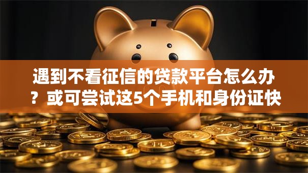 遇到不看征信的贷款平台怎么办?或可尝试这5个手机和身份证快速借钱平台 遇到不看征信的贷款平台怎么办?或可尝试这5个手机和身份证快速借钱平台