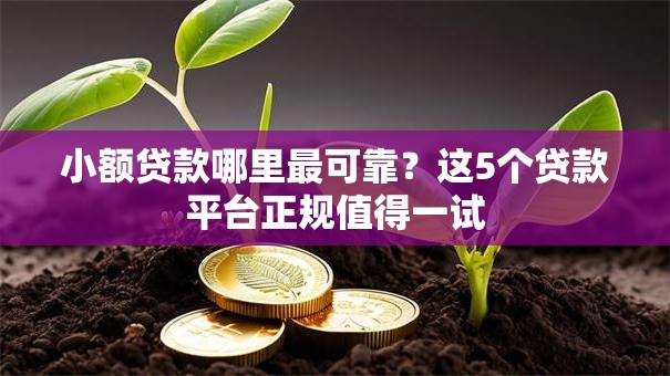 小额贷款哪里最可靠？这5个贷款平台正规值得一试