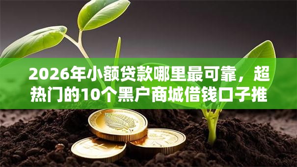 2026年小额贷款哪里最可靠,超热门的10个黑户商城借钱口子推荐 2026年小额贷款哪里最可靠,超热门的10个黑户商城借钱口子推荐