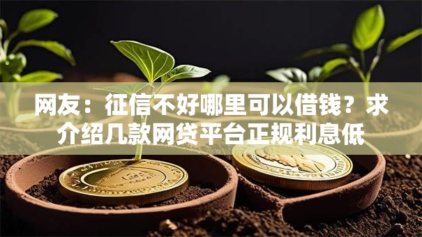 网友:征信不好哪里可以借钱?求介绍几款网贷平台正规利息低 网友:征信不好哪里可以借钱?求介绍几款网贷平台正规利息低