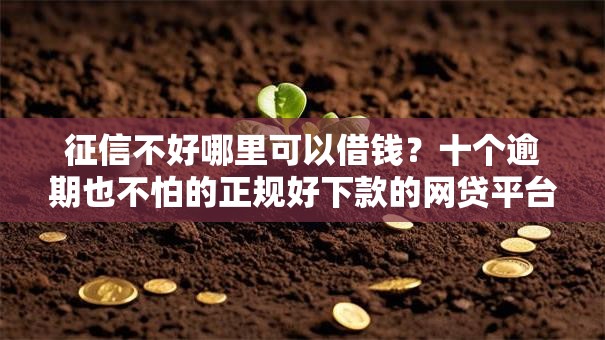 征信不好哪里可以借钱?十个逾期也不怕的正规好下款的网贷平台 征信不好哪里可以借钱?十个逾期也不怕的正规好下款的网贷平台