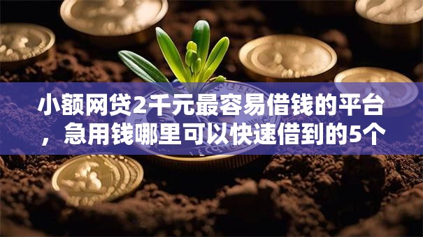 小额网贷2千元最容易借钱的平台,急用钱哪里可以快速借到的5个平台介绍 小额网贷2千元最容易借钱的平台,急用钱哪里可以快速借到的5个平台介绍
