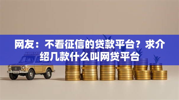网友：不看征信的贷款平台？求介绍几款什么叫网贷平台