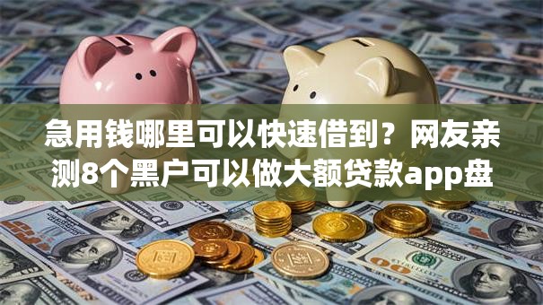 急用钱哪里可以快速借到？网友亲测8个黑户可以做大额贷款app盘点