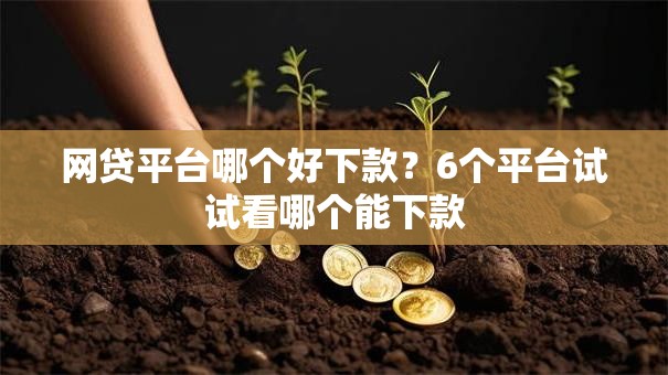 网贷平台哪个好下款?6个平台试试看哪个能下款 网贷平台哪个好下款?6个平台试试看哪个能下款