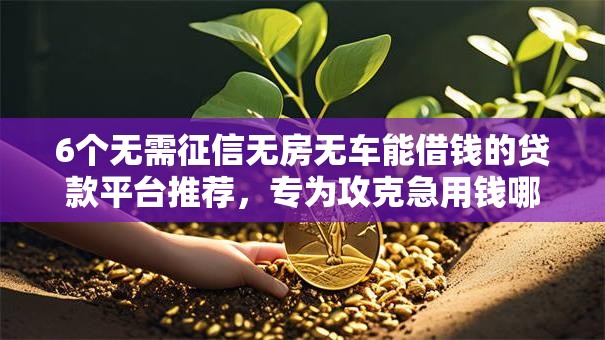 6个无需征信无房无车能借钱的贷款平台推荐,专为攻克急用钱哪里可以快速借到难题 6个无需征信无房无车能借钱的贷款平台推荐,专为攻克急用钱哪里可以快速借到难题