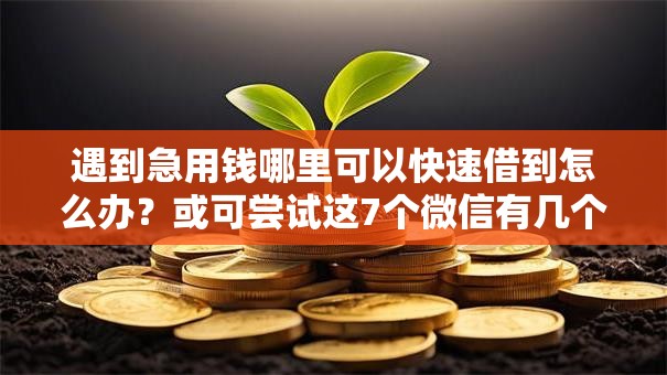 遇到急用钱哪里可以快速借到怎么办?或可尝试这7个微信有几个借钱平台 遇到急用钱哪里可以快速借到怎么办?或可尝试这7个微信有几个借钱平台