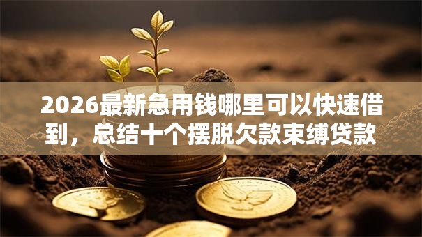 2026最新急用钱哪里可以快速借到,总结十个摆脱欠款束缚贷款新口子! 2026最新急用钱哪里可以快速借到,总结十个摆脱欠款束缚贷款新口子!