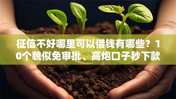 征信不好哪里可以借钱有哪些?10个貌似免审批、高炮口子秒下款2025合集 征信不好哪里可以借钱有哪些?10个貌似免审批、高炮口子秒下款2025合集