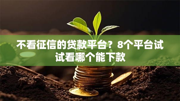 不看征信的贷款平台?8个平台试试看哪个能下款 不看征信的贷款平台?8个平台试试看哪个能下款