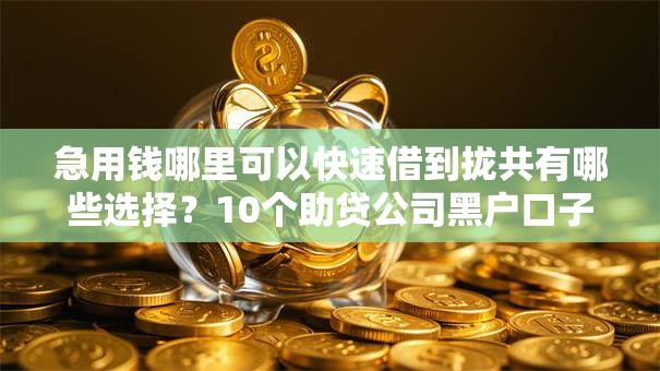 急用钱哪里可以快速借到拢共有哪些选择?10个助贷公司黑户口子有什么详解 急用钱哪里可以快速借到拢共有哪些选择?10个助贷公司黑户口子有什么详解