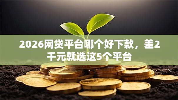 2026网贷平台哪个好下款,差2千元就选这5个平台 2026网贷平台哪个好下款,差2千元就选这5个平台