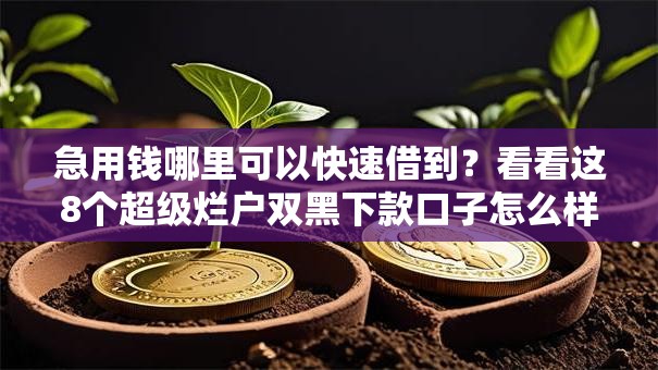急用钱哪里可以快速借到?看看这8个超级烂户双黑下款口子怎么样 急用钱哪里可以快速借到?看看这8个超级烂户双黑下款口子怎么样