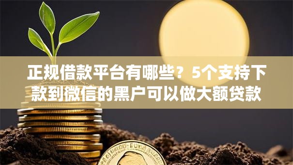 正规借款平台有哪些？5个支持下款到微信的黑户可以做大额贷款app