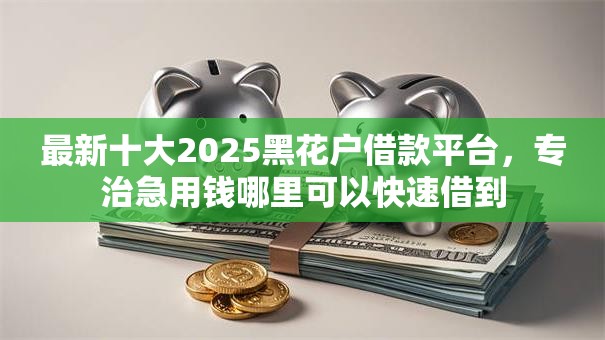 最新十大2025黑花户借款平台，专治急用钱哪里可以快速借到