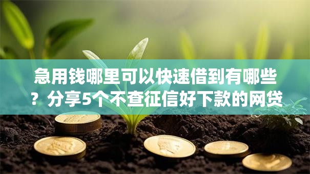 急用钱哪里可以快速借到有哪些?分享5个不查征信好下款的网贷app 急用钱哪里可以快速借到有哪些?分享5个不查征信好下款的网贷app