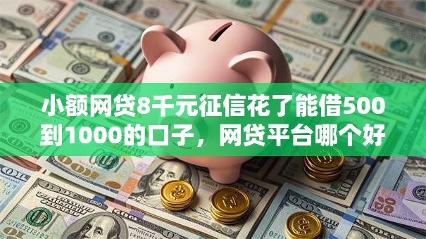 小额网贷8千元征信花了能借500到1000的口子，网贷平台哪个好下款的5个平台介绍