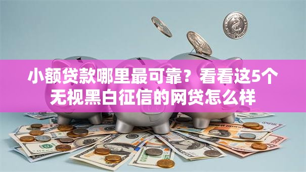 小额贷款哪里最可靠?看看这5个无视黑白征信的网贷怎么样 小额贷款哪里最可靠?看看这5个无视黑白征信的网贷怎么样