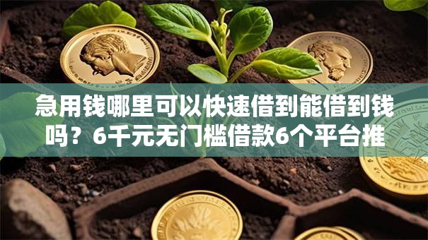 急用钱哪里可以快速借到能借到钱吗？6千元无门槛借款6个平台推荐