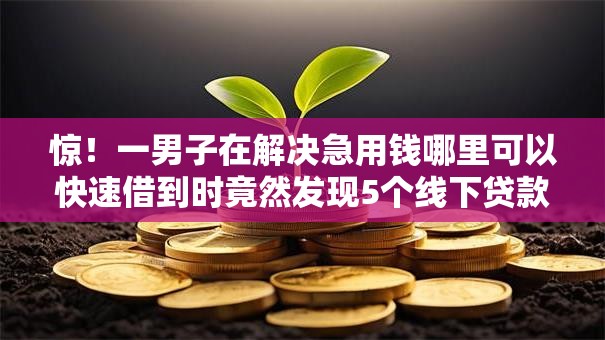 惊!一男子在解决急用钱哪里可以快速借到时竟然发现5个线下贷款平台,事后分享了出来 惊!一男子在解决急用钱哪里可以快速借到时竟然发现5个线下贷款平台,事后分享了出来