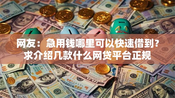 网友：急用钱哪里可以快速借到？求介绍几款什么网贷平台正规