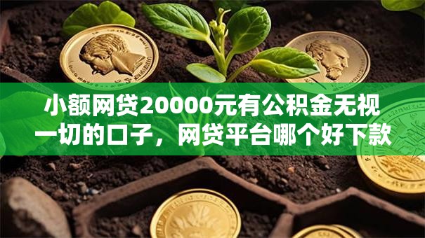 小额网贷20000元有公积金无视一切的口子，网贷平台哪个好下款的8个平台介绍