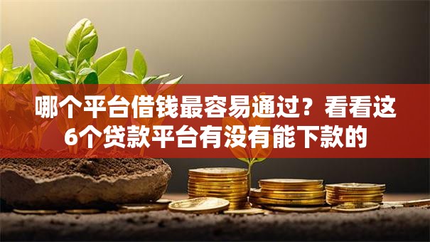 哪个平台借钱最容易通过?看看这6个贷款平台有没有能下款的 哪个平台借钱最容易通过?看看这6个贷款平台有没有能下款的