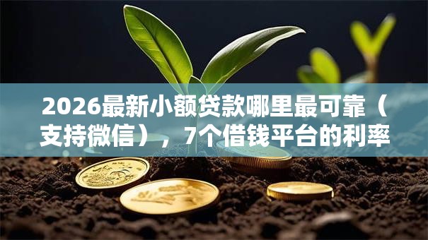 2026最新小额贷款哪里最可靠(支持微信),7个借钱平台的利率低无私分享 2026最新小额贷款哪里最可靠(支持微信),7个借钱平台的利率低无私分享