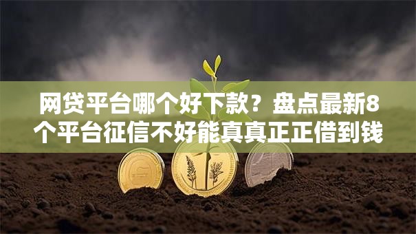 网贷平台哪个好下款？盘点最新8个平台征信不好能真真正正借到钱