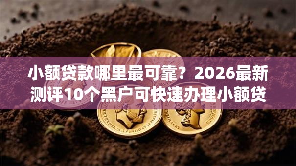 小额贷款哪里最可靠？2026最新测评10个黑户可快速办理小额贷款业务的app