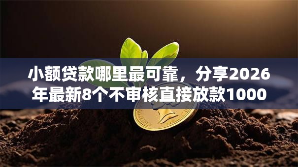 小额贷款哪里最可靠,分享2026年最新8个不审核直接放款1000的口子 小额贷款哪里最可靠,分享2026年最新8个不审核直接放款1000的口子