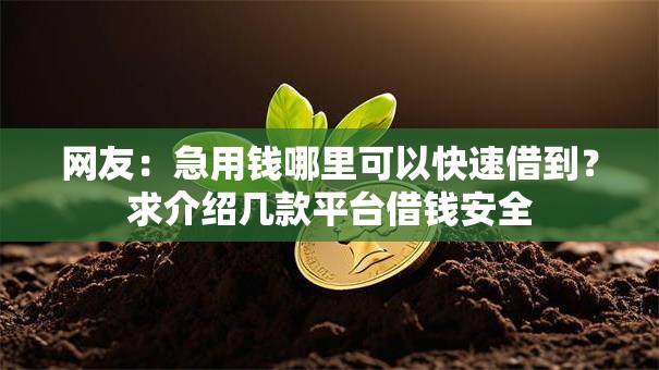 网友:急用钱哪里可以快速借到?求介绍几款平台借钱安全 网友:急用钱哪里可以快速借到?求介绍几款平台借钱安全