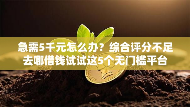 急需5千元怎么办?综合评分不足去哪借钱试试这5个无门槛平台 急需5千元怎么办?综合评分不足去哪借钱试试这5个无门槛平台