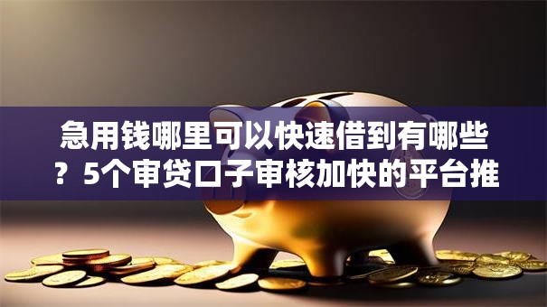 急用钱哪里可以快速借到有哪些？5个审贷口子审核加快的平台推荐给你