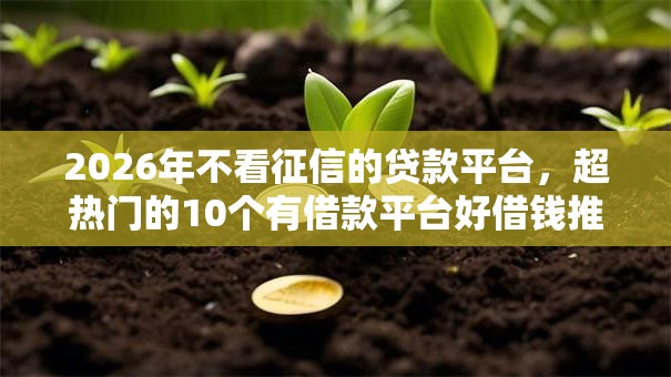 2026年不看征信的贷款平台,超热门的10个有借款平台好借钱推荐 2026年不看征信的贷款平台,超热门的10个有借款平台好借钱推荐