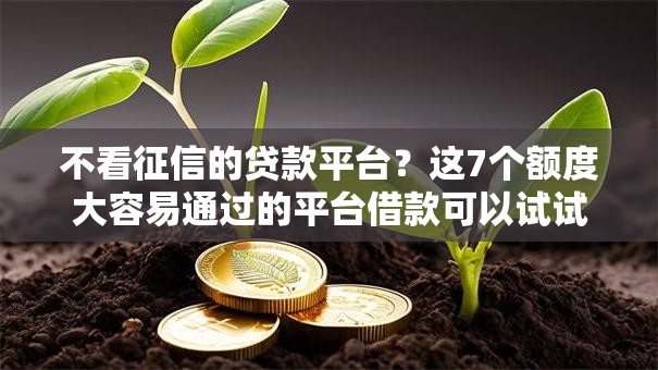 不看征信的贷款平台?这7个额度大容易通过的平台借款可以试试 不看征信的贷款平台?这7个额度大容易通过的平台借款可以试试