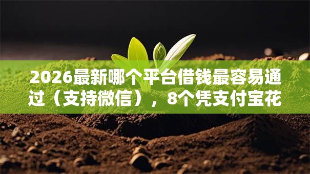 2026最新哪个平台借钱最容易通过（支持微信），8个凭支付宝花呗贷款的平台无私分享