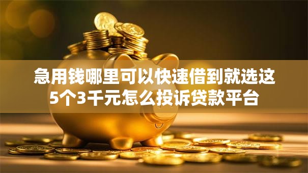 急用钱哪里可以快速借到就选这5个3千元怎么投诉贷款平台