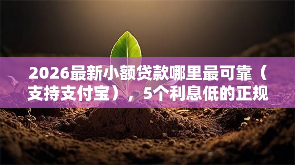 2026最新小额贷款哪里最可靠（支持支付宝），5个利息低的正规借钱平台无私分享