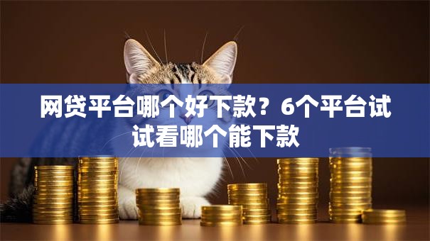 网贷平台哪个好下款？6个平台试试看哪个能下款