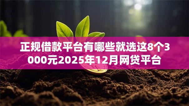 正规借款平台有哪些就选这8个3000元2025年12月网贷平台 正规借款平台有哪些就选这8个3000元2025年12月网贷平台