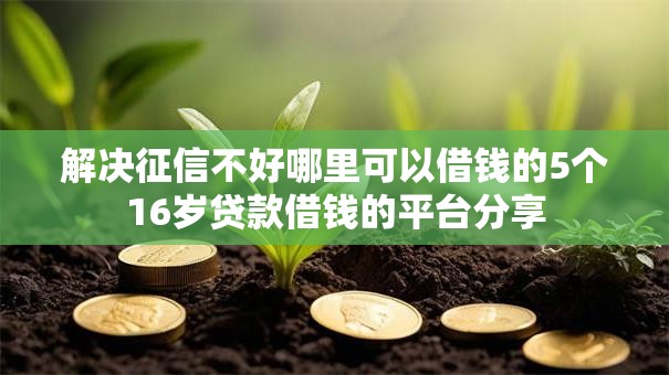 解决征信不好哪里可以借钱的5个16岁贷款借钱的平台分享 解决征信不好哪里可以借钱的5个16岁贷款借钱的平台分享