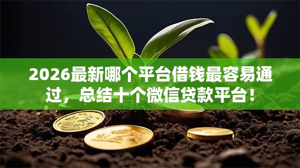 2026最新哪个平台借钱最容易通过，总结十个微信贷款平台！