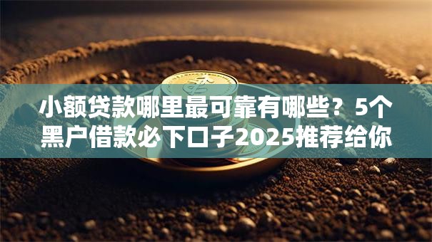 小额贷款哪里最可靠有哪些?5个黑户借款必下口子2025推荐给你 小额贷款哪里最可靠有哪些?5个黑户借款必下口子2025推荐给你