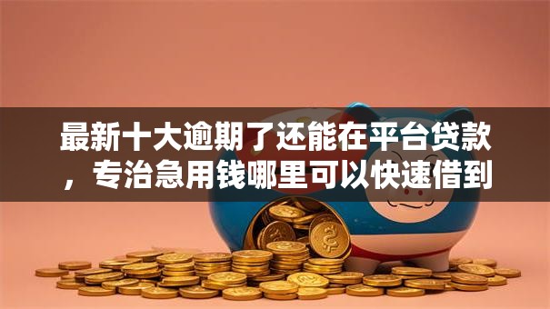 最新十大逾期了还能在平台贷款，专治急用钱哪里可以快速借到