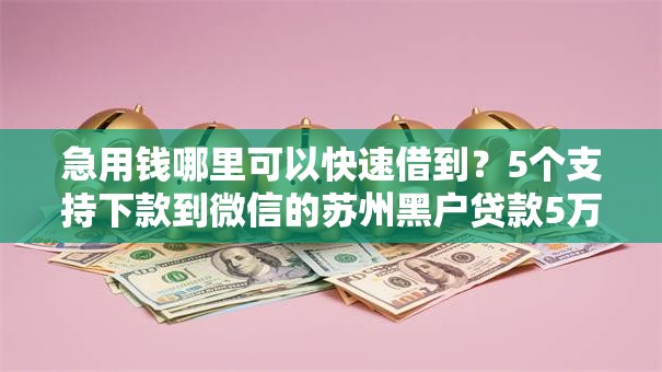 急用钱哪里可以快速借到？5个支持下款到微信的苏州黑户贷款5万的软件