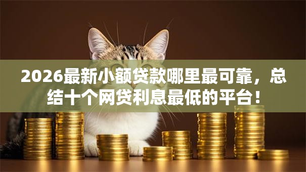 2026最新小额贷款哪里最可靠，总结十个网贷利息最低的平台！