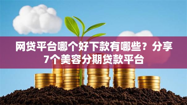 网贷平台哪个好下款有哪些？分享7个美容分期贷款平台