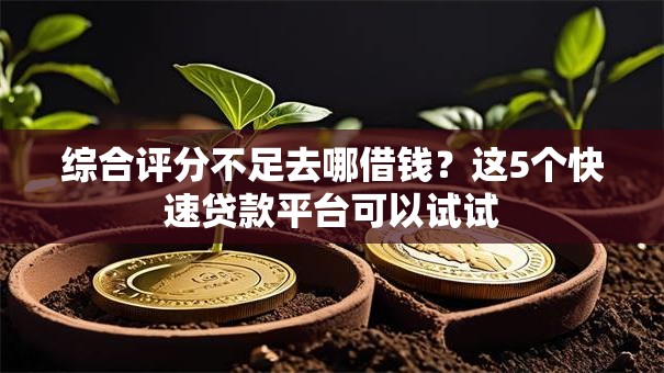 综合评分不足去哪借钱?这5个快速贷款平台可以试试 综合评分不足去哪借钱?这5个快速贷款平台可以试试